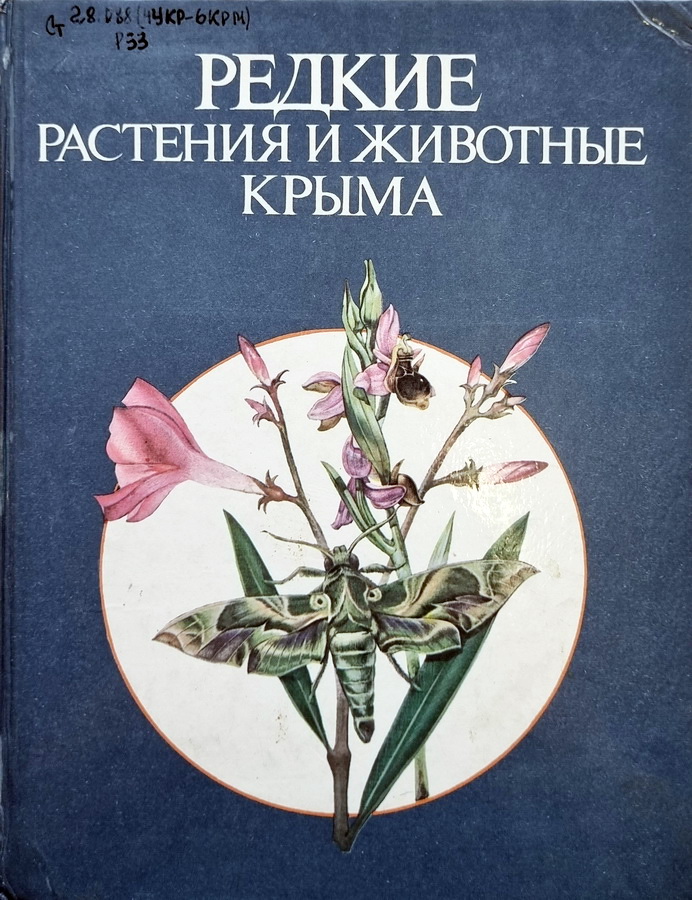 Крокус – вестник весны