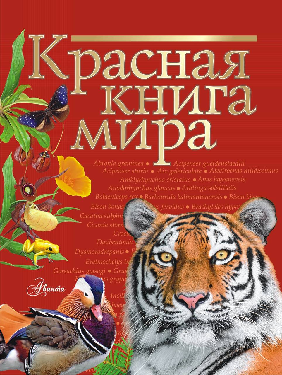 Давайте знакомиться, я — тигр!» - А знаете ли вы что… - ЦБС для детей г.  Севастополя